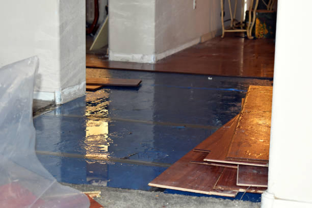 Professional Flood Damage Repair technician working in Easthampton, MA